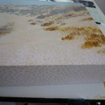 As I added some texture to the sand, I started making them into a dot pattern. I like it; it stays.