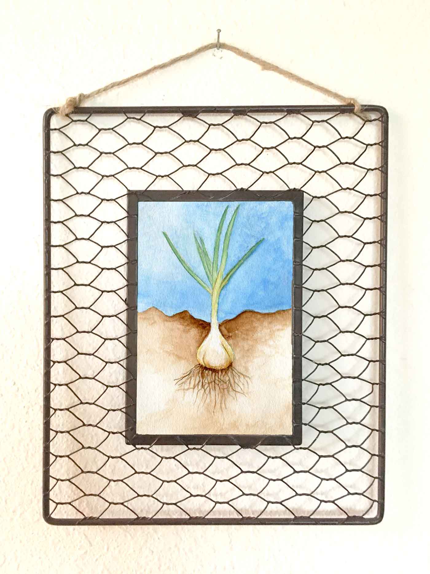 Roots: Garlic