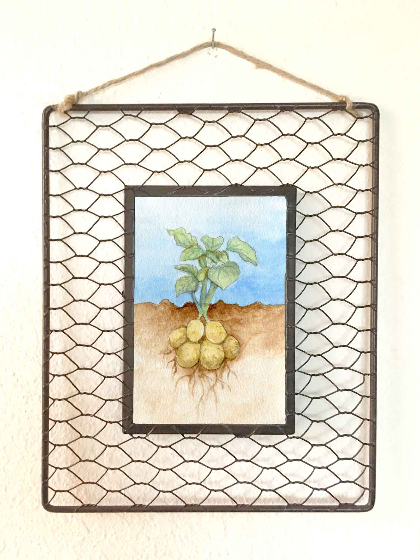 Roots: Potato