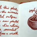 I think traveling plants are a great idea. Little stone bowl