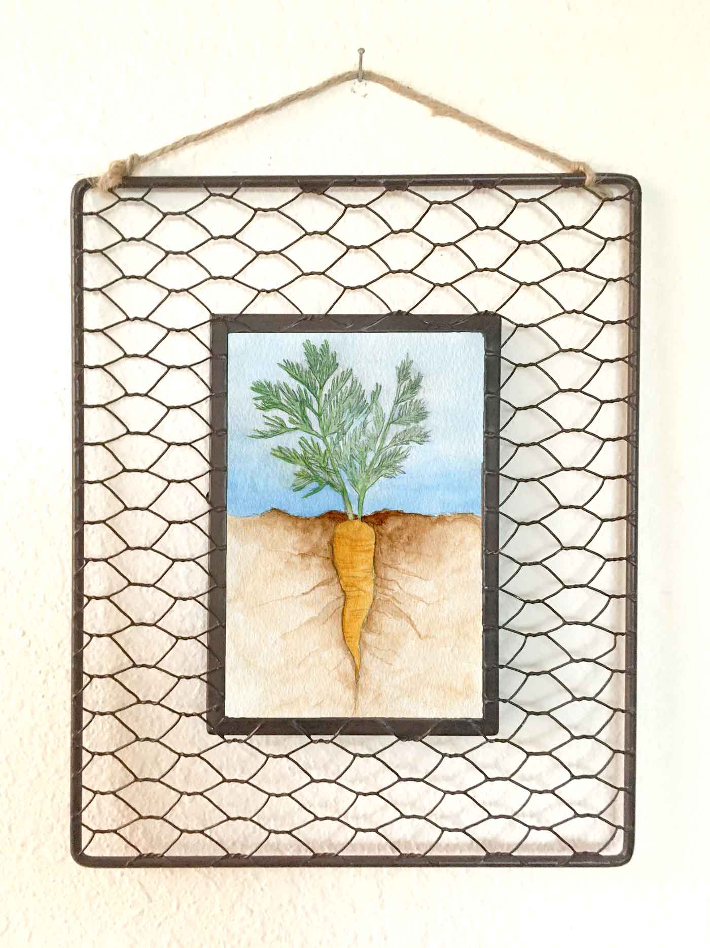 Roots: Carrot • 8"x10" framed