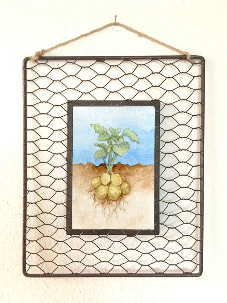 Roots: Potato • 8"x10" framed