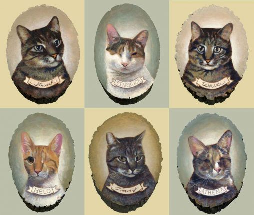 Cat portraits galore